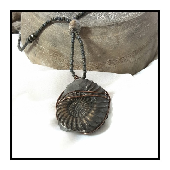 Artisan - Fossilized Pyrite Ammonite Necklace - Picture 4 of 8